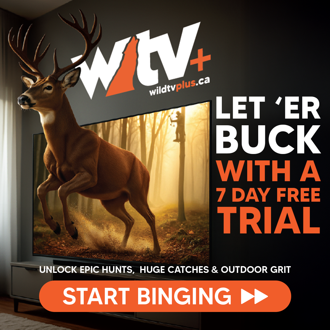 Start Your 7 Day Free Trial of Wild TV+